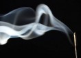 /album/fotogaleria/a1378069-243173349167471-753114448-n-jpg1/